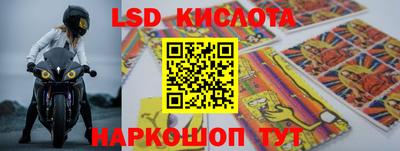 мяу мяу мука Краснознаменск