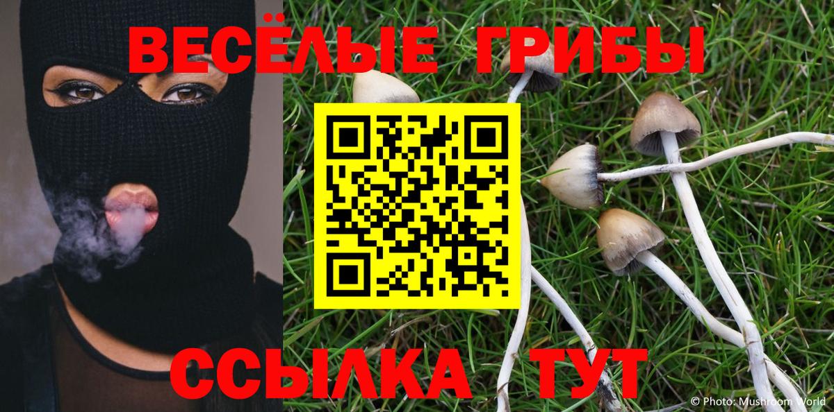 Камышин  Псилоцибиновые грибы мицелий  купить  сайты  Галлюциногенные грибы Cubensis  Вход с VPN 