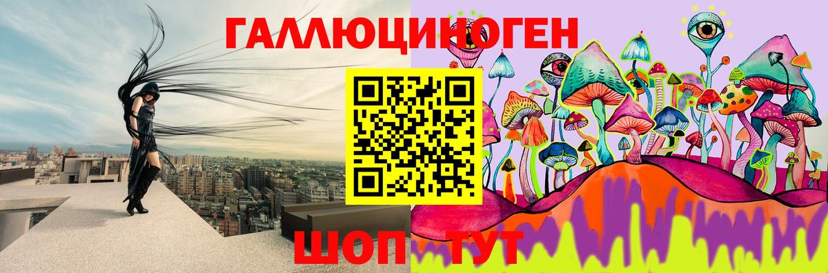 Галлюциногенные грибы GOLDEN TEACHER Камышин